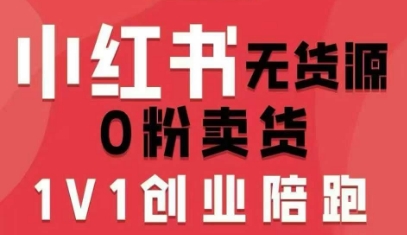 小红书无货源0粉电商课，开店准备、选品策略、笔记撰写、视频剪辑、数据分析、账号打造、资料文档（更新26年3月16日）-龙部落