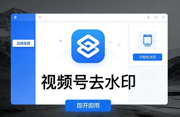 视频号去水印软件，电脑软件，即开即用-龙部落