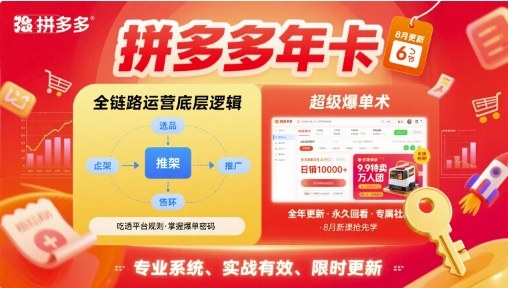 拼多多年卡,拼多多全链路运营底层逻辑,超级爆单术【更新26年3月29日】-龙部落