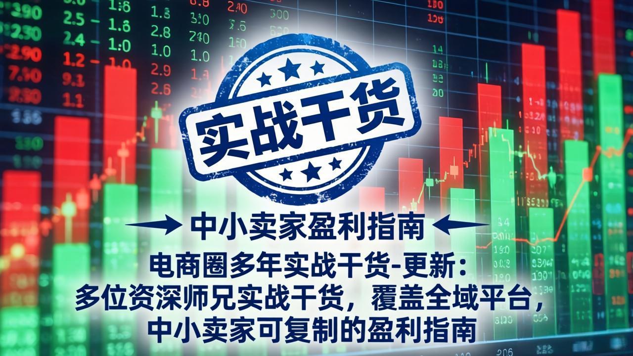 电商圈多年实战干货-更新4月：多位资深师兄实战干货，覆盖全域平台，中小卖家可复制的盈利指南-龙部落