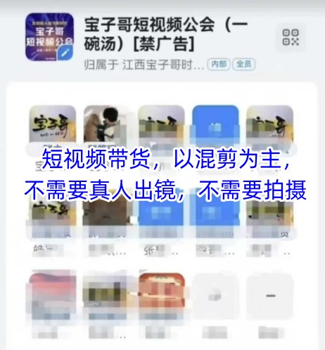 宝子哥头部团队短视频带货，以混剪为主，不需要真人出镜，不需要拍摄【更新26年3月】-龙部落