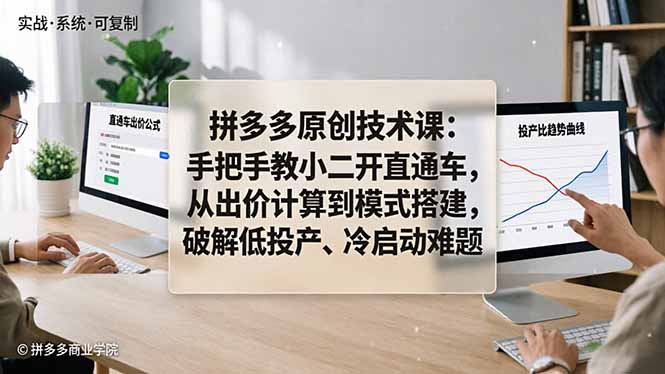 拼多多原创技术课：手把手教小二开直通车，从出价计算到模式搭建，破解低投产、冷启动难题-龙部落