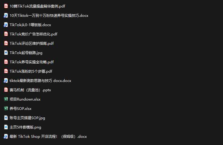 2026TikTok海外掘金实战课——养号SOP+爆款公式+选品测款+广告投流+Shop开店，跑通海外运营全链路-龙部落