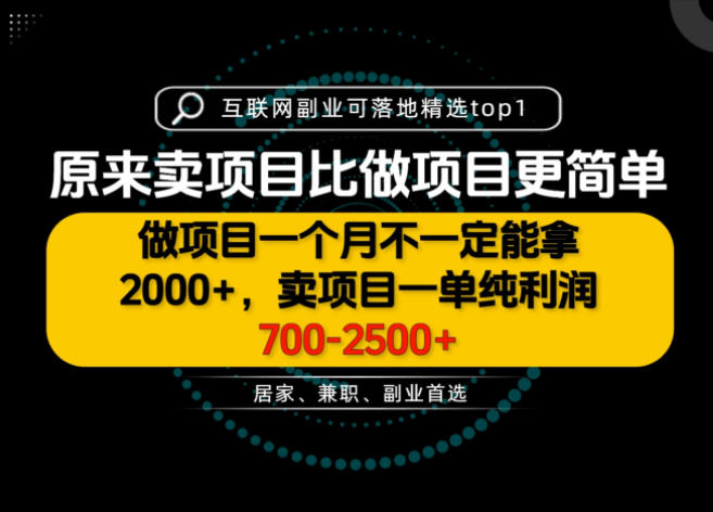 一单利润700-2.5K+，为什么我们要卖项目而不是做项目，我们普通人应该怎样开始？【揭秘】-龙部落