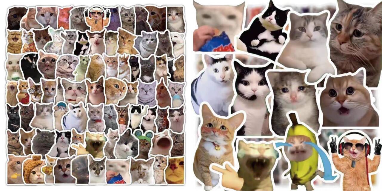 某宝付费素材，猫meme素材绿幕视频剪辑素材小猫咪跳舞，适合抖音B站搞笑短视频合集！-龙部落