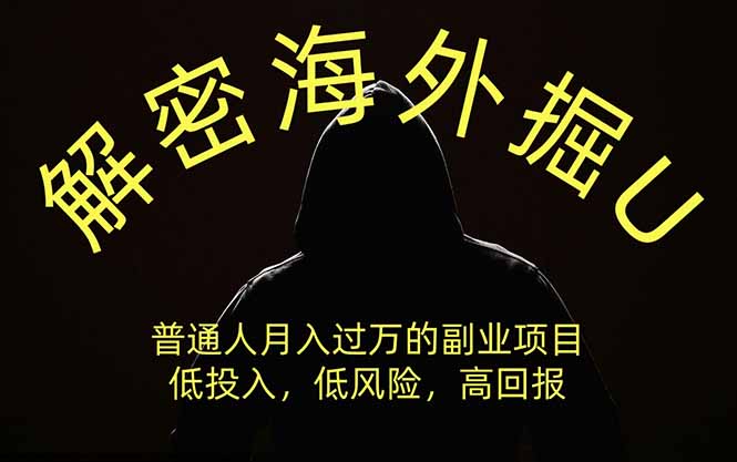 解密海外掘U,普通人月入过万的副业项目,低投入、低风险高回报,没有之一-龙部落