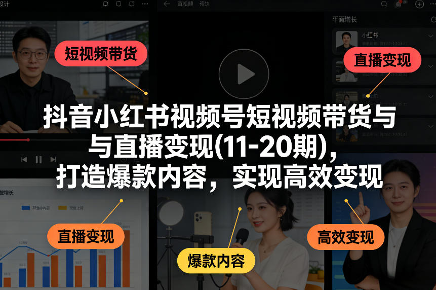 抖音小红书视频号短视频带货与直播变现(10-20期)，打造爆款内容，实现高效变现（更新）-龙部落