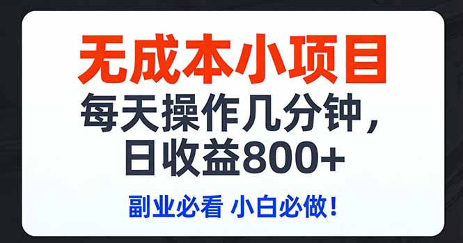 无成本小项目,每天操作几分钟,日收益800+ 副业必看 小白必做！-龙部落