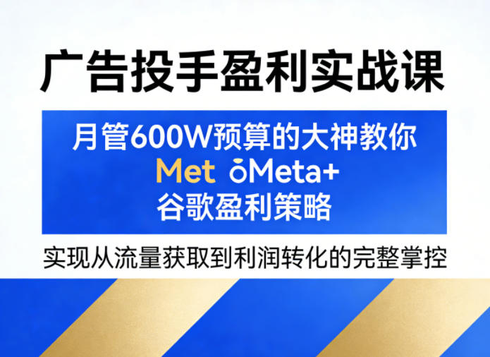 广告投手盈利实战课，月管600W预算的大神教你Meta+谷歌盈利策略，实现从流量获取到利润转化的完整掌控-龙部落