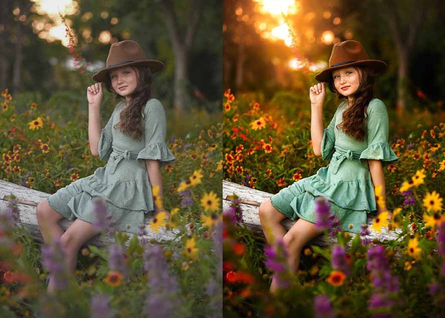 大师级GTG出品-老友记系列AI自适应预设The Friends Preset Collection-龙部落