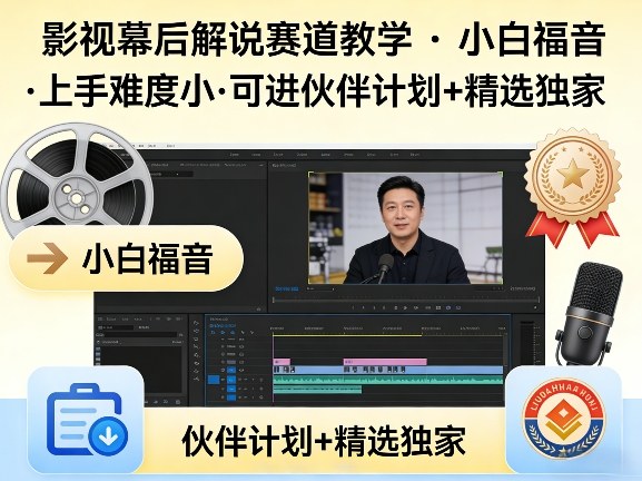 某大佬的影视幕后解说赛道教学，小白福音，上手难度小，可进伙伴计划+精选独家-龙部落