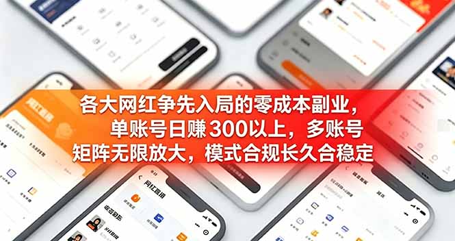 各大网红争先入局的零成本副业，单账号日赚 300 以上，多号矩阵可放大，模式合规长久稳定！-龙部落
