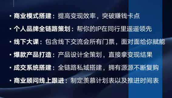 个人IP全域商业变现实战课 (无水印-龙部落