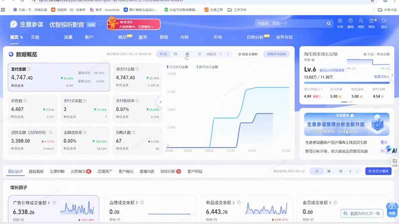 (20522期)淘宝VIP特训课-更新0917:蓝海选品+付费投放|短视频AI运营|大促起爆全流程,破解店铺无流量无利润难题-龙部落