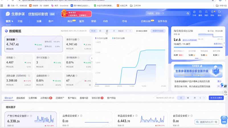 淘宝VIP特训课-更新:蓝海选品+付费投放|短视频AI运营|大促起爆全流程,破解店铺无流量无利润难题-龙部落