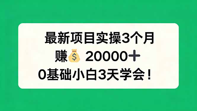 最新项目实操3个月，赚钱20000+，0基础小白3天学会！-龙部落
