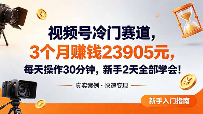 视频号冷门赛道，3个月变现23905元，新手2天学会 每天操作30分钟！-龙部落