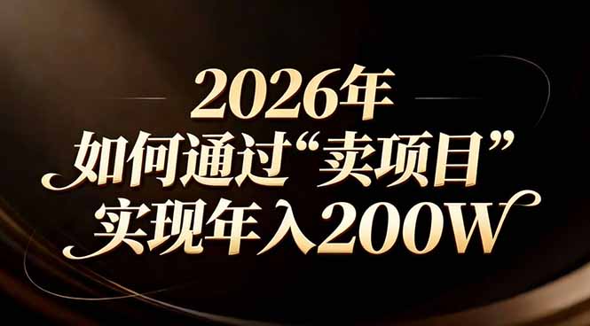 站在2026年的十字路口：一个普通人如何通过卖项目实现年入200万-龙部落