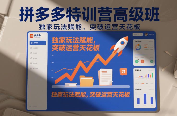 拼多多特训营高阶班，独家玩法赋能，突破运营天花板（更新26年4月10日）-龙部落