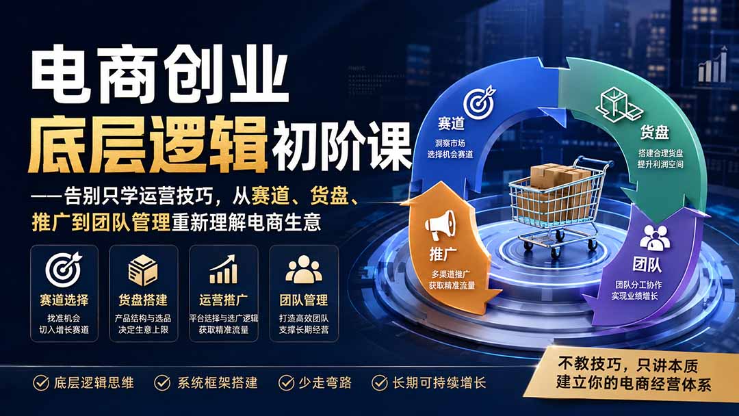 电商创业底层逻辑初阶课——告别只学运营技巧，从赛道、货盘、推广到团队管理重新理解电商生意-龙部落