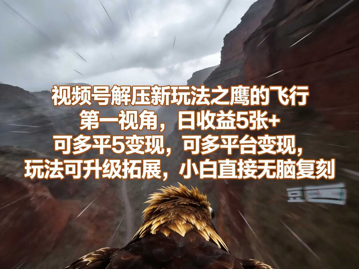 视频号解压新玩法之鹰的飞行第一视角，日收益5张+，可多平台变现，玩法可升级拓展，小白直接无脑复刻-龙部落